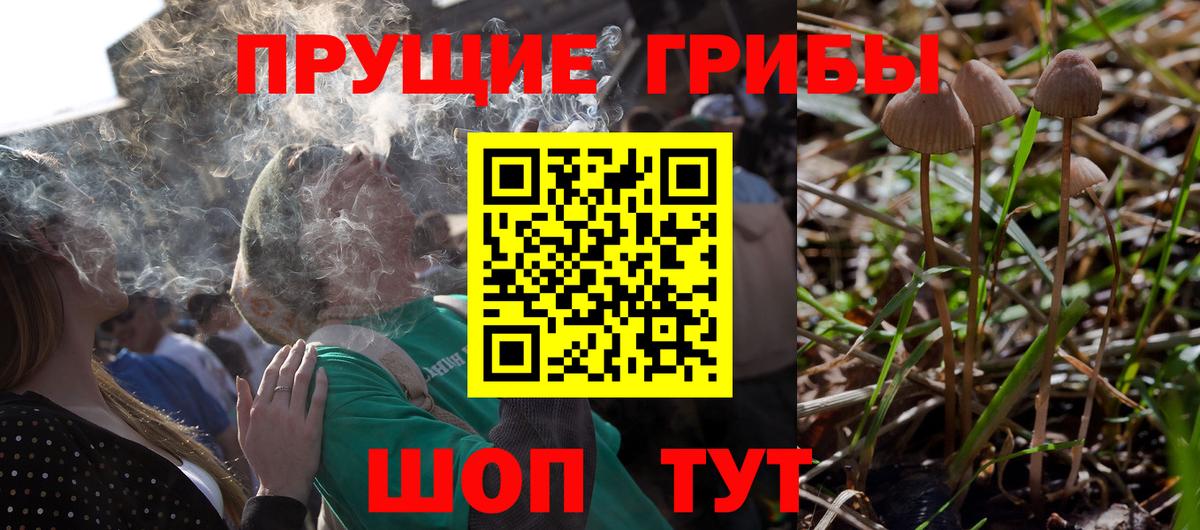 Псилоцибиновые грибы MAGIC MUSHROOMS Лянтор