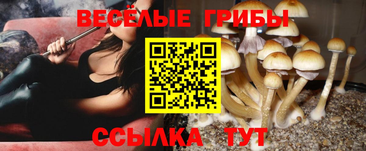 Мефедрон кристаллы  Лянтор  КЕТАМИН  Вход с VPN  Гашиш  Канабис  Гашиш  МЕТАДОН 