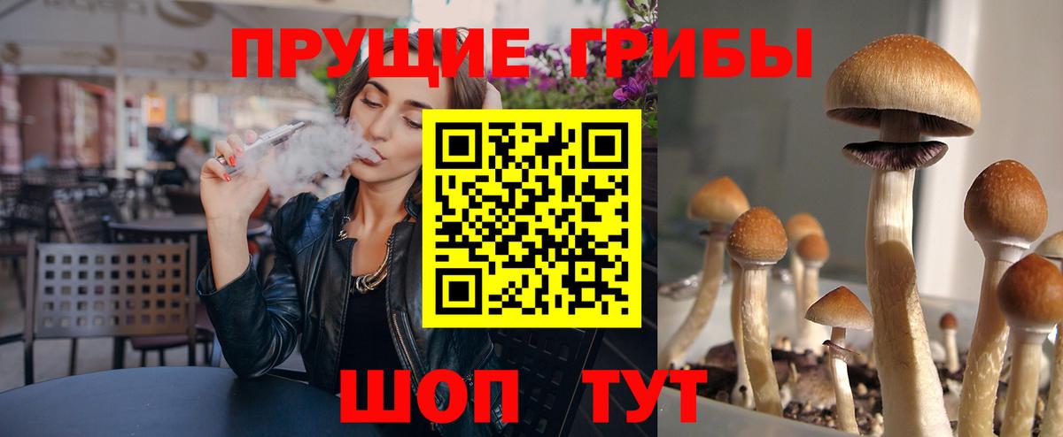 Лянтор  Псилоцибиновые грибы MAGIC MUSHROOMS  Вход с VPN  Псилоцибиновые грибы Psilocybe 